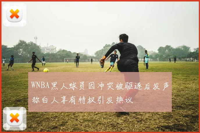WNBA黑人球员因冲突被驱逐后发声称白人享有特权引发热议