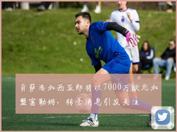 贡萨洛加西亚即将以7000万欧元加盟富勒姆,转会消息引发关注